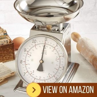 Taylor Precision Stainless Steel Analog Scale