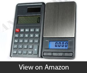 Horizon Scale with Calculator
