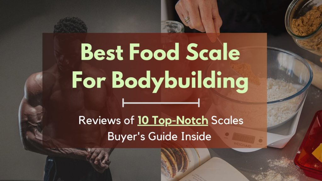 best food scale for bodybuilding