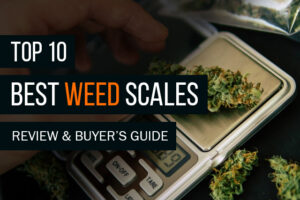 Best Weed Scales