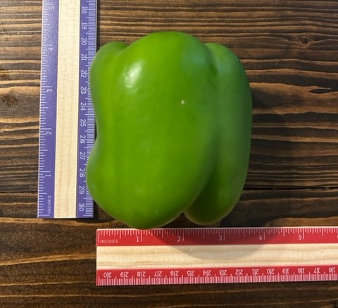 Green Pepper Size