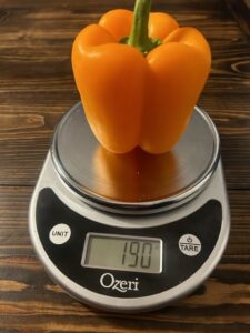 Orange Pepper Weight