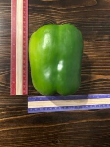 Green Pepper Size2