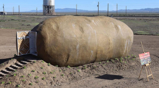 Largest Potato